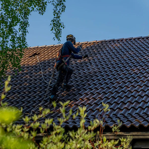 Katon pinnoittaja levittää kasvuston torjunta-ainetta tiilikatolle.